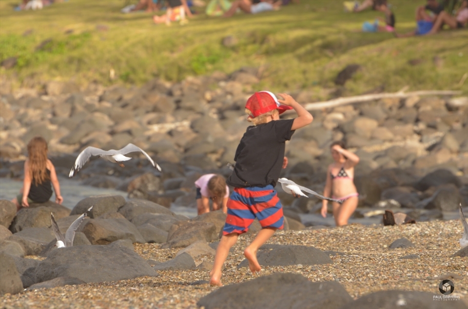 Whilst down at Burleigh on a lovely busy Sunday afternoon of sun and sea. I captured this little surfer dude trying to sneak up and scare the seagulls nearby, as soon as he did his hands were up for cover and he ran like crazy, typical. This image tells a good story by itself and is a good reflection of the community and family culture around Burleigh Heads.