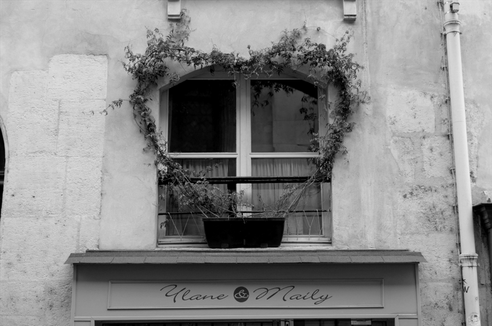 This heart-shaped plant on the window on Rue Saint Louis en l'Ile is the biggest and most vivid heart you will notice outside the souvenir shops in Central Paris.