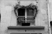This heart-shaped plant on the window on Rue Saint Louis en l'Ile is the biggest and most vivid heart you will notice outside the souvenir shops in Central Paris.: by pavel_videkov, Views[662]