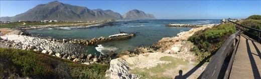 Pete Martin ¦ Stony Point Reserve ¦ www.petemartin.org