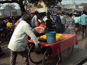 First Impressions of India ¦ Delhi Old Town Market #1: by pbm6, Views[402]