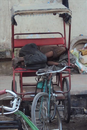 First Impressions of India ¦ Delhi Old Town Market #2