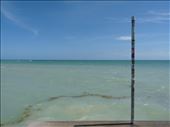 2014 04 03 Key West (2): by pbm6, Views[341]