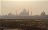 2013 11 11 Taj Mahal (1): by pbm6, Views[282]