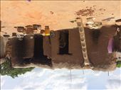 2016 05 06 Mole, Ghana (18): by pbm6, Views[253]