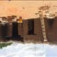 2016 05 06 Mole, Ghana (18) by: pbm6 Views[194]