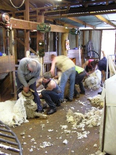 Twelve hours of effort as the 