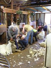 Twelve hours of effort as the 