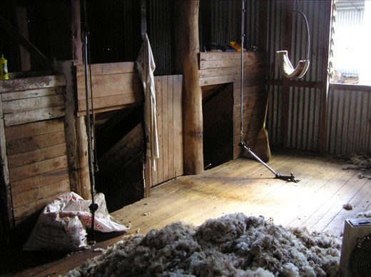 Early evening and silence again fills the shed amidst the lingering odour of wool fat and sweat!