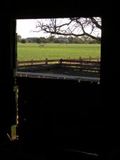 Another day of back-breaking effort dawns on the shearing shed at the small family farm of Greyholme in North West New South Wales.  These farms are becoming a rarity in Australia as larger corporations take advantage of economies of scale to compete aggressively. But for some families farming is a way of life - not a job!
: by peachgone, Views[292]