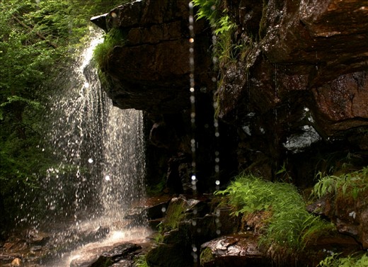 From above thick foliage, a faint sun beam shines through a break in the clouds right where an ancient waterfall breaks apart the brush and tree tops. Light through the falls reveals some facial features hiding within the cliffs.
