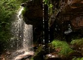 From above thick foliage, a faint sun beam shines through a break in the clouds right where an ancient waterfall breaks apart the brush and tree tops. Light through the falls reveals some facial features hiding within the cliffs.: by peder, Views[649]