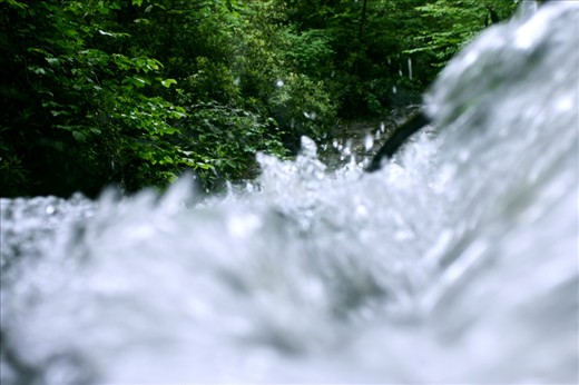 From the top of a Pocono plateau this cold, clear water is at the beginning of its long journey toward the Atlantic Ocean. Along the way the developed world will taint it. For water the cycle never ends, imagine yourself enduring this endless trip.