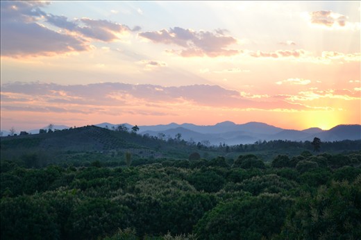 Sunset over the Mango orchards in Northern Thailand