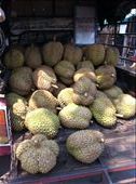 Jack Fruit!: by pedroandbridget, Views[209]