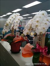 by peerf, Views[159]