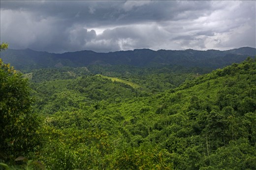 Overall view of Tongkaboti village, which is part of Chittagong hill tracks.