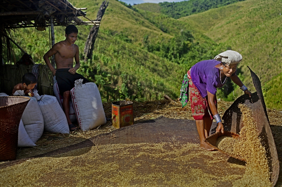 Zoom farming is the main earning point of Moorong peoples