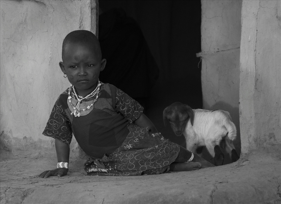 Innocence - The relationship between the Masai and their animals start at a very young age. Together the young animals will share their home as night falls to keep them safe from marauding leopards, hyenas and predators of the night.