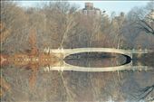 Central Park bridge relfecting on itself: by peoploftheworld, Views[312]