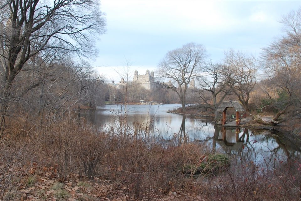 So peaceful yet so close to the hustle and bustle of NYC