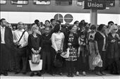 At Union Station, a herd of at least a thousand of us wait for a train home and the word GO seems ironic. We commuters are often stuck in a cycle of running and waiting - going to and coming from the same destinations. While adhering to schedules and rules as rigid as rails, we're always on the move but never really free. : by pepperhead, Views[514]