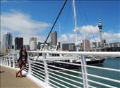 Sail away at the city of sails, Auckland: by peppermench, Views[192]