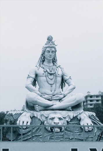 Neelkanth- Hindu God which means the blue throated one.

Clicked at Rishikesh-Haridwar
