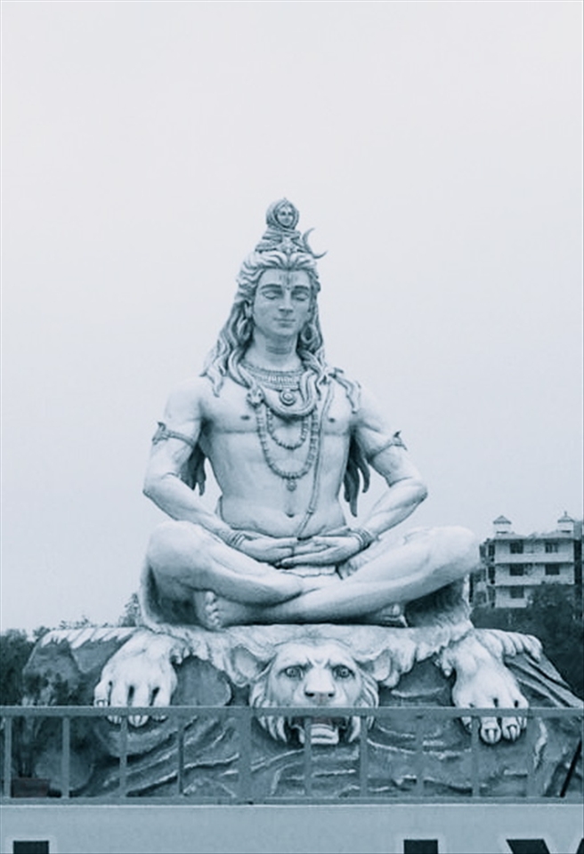 Neelkanth- Hindu God which means the blue throated one.

Clicked at Rishikesh-Haridwar