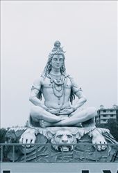 Neelkanth- Hindu God which means the blue throated one.

Clicked at Rishikesh-Haridwar: by perception, Views[2585]