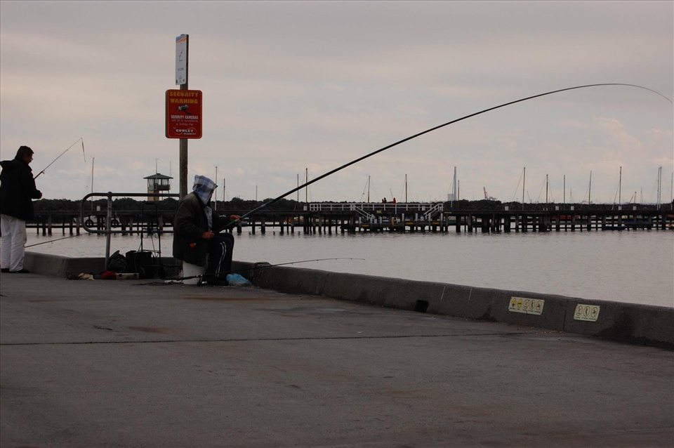 I saw this man at St Kilda everyday in the exact same spot, from dawn til dusk.