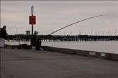 I saw this man at St Kilda everyday in the exact same spot, from dawn til dusk.: by peri_teresa, Views[348]