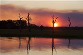 Fire and smoke from controlled burning and Land Management during the dry season within Kakadu National Park add to the intensity, colour and drama of this sunset at Yellow Waters, Cooinda.: by peru14scholar, Views[300]