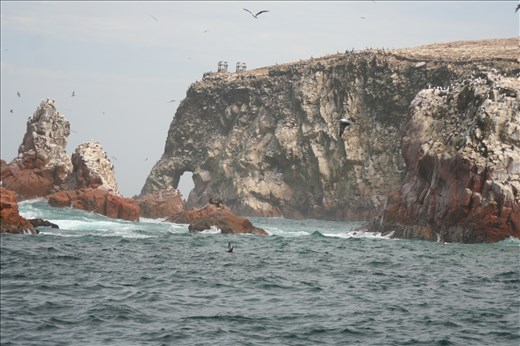 Ballestas Islands from boat