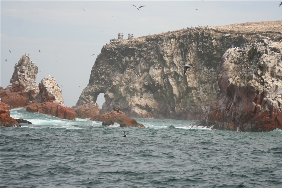 Ballestas Islands from boat