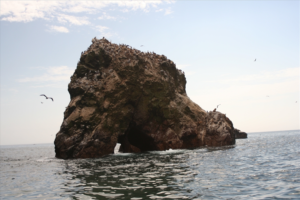 Ballestas Islands from boat