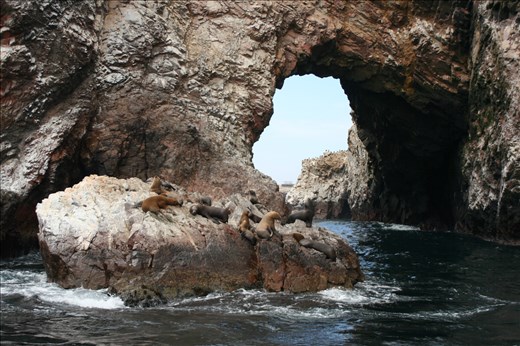 Ballestas Islands from boat