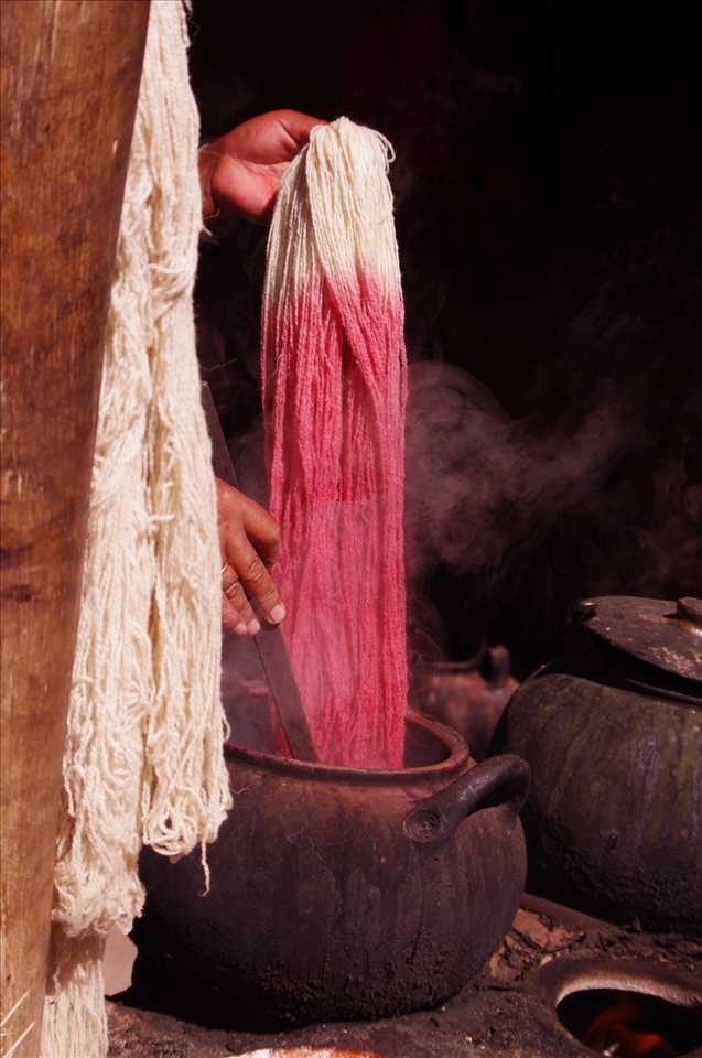 the process of dye of the wool, all from natural tinctures