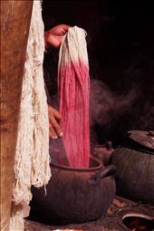 the process of dye of the wool, all from natural tinctures: by peruvianhands, Views[282]