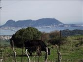 6 In passing - Gibraltar from South of Algerceras: by peterlee54, Views[272]