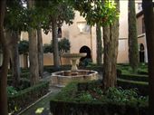 12 Alhambra Nasrid Palaces: by peterlee54, Views[486]