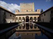 8 Alhambra Nasrid Palaces Patios del Myrtles: by peterlee54, Views[247]
