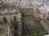 21 Seville Giralda view of Pation of Oranges: by peterlee54, Views[220]
