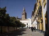 8 Seville Jewish Quarter view of giralda: by peterlee54, Views[244]