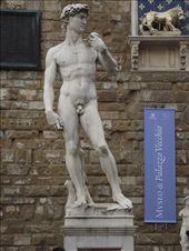 6 Florence - Copy of David: by peterlee54, Views[319]