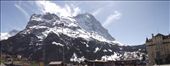 12 Grindelwald - view of Schreckhorn and Eiger: by peterlee54, Views[389]
