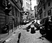 Pigeons can be found all over Naples. Where ever I am I always try snapping a picture where these birds can be seen.: by peterzsolnai, Views[224]