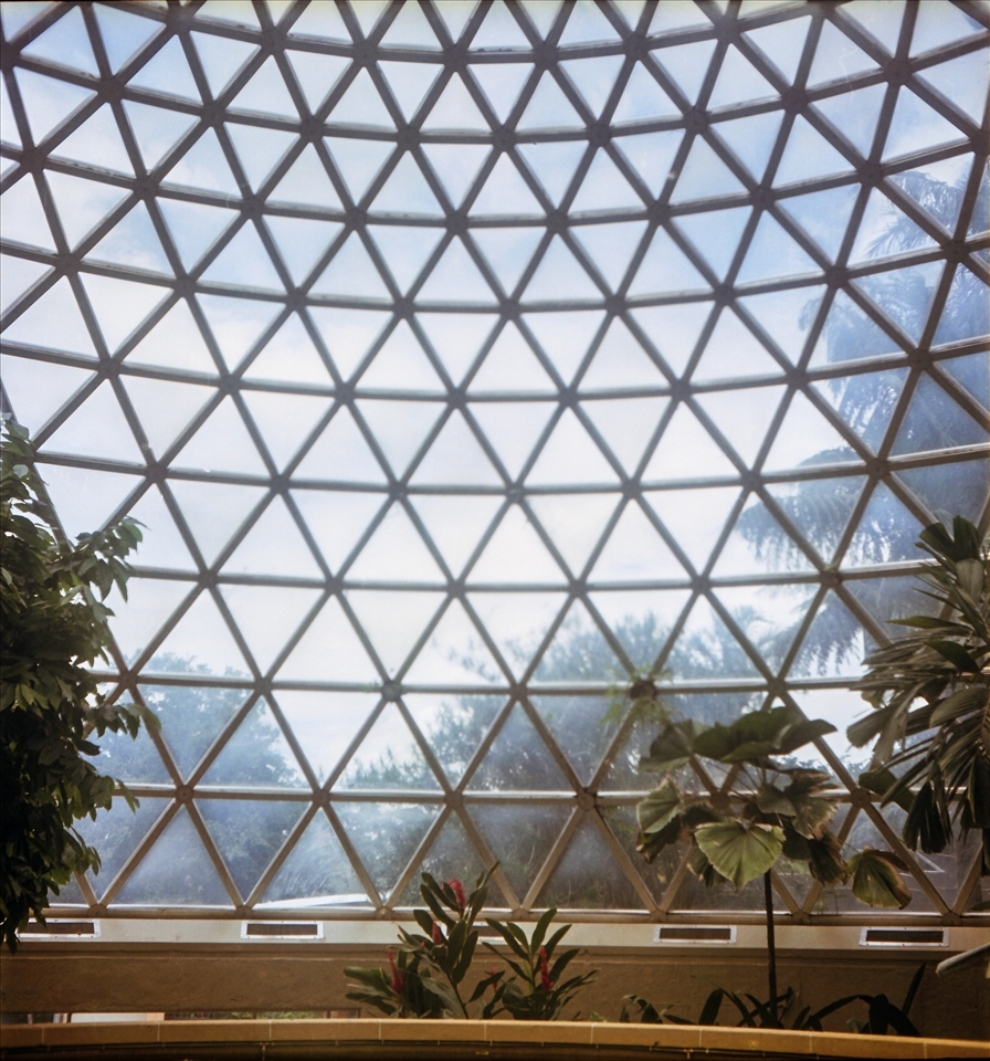 Botanical gardens, a place to escape the city. Taken on my Rolleiflex.