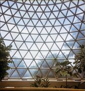 Botanical gardens, a place to escape the city. Taken on my Rolleiflex.: by petispas, Views[330]