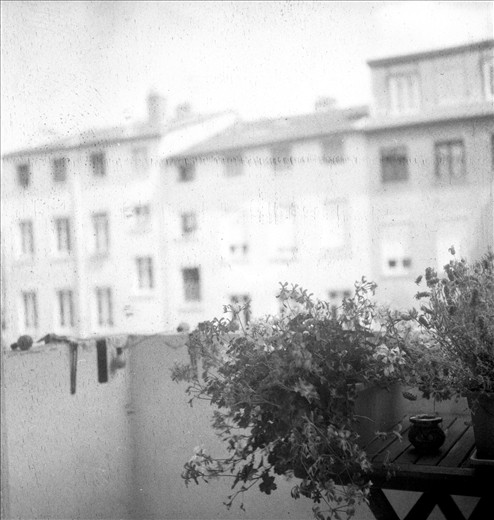 This 120mm photo was taken on a balcony of a flat we “borrowed” in Lyon, France